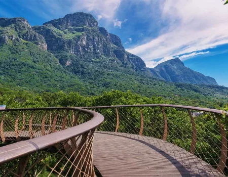 kirstenbosch